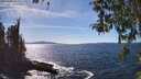 ./images/koeye/fitz-hugh/20260409/fitz-hugh20260409_152001M.jpg