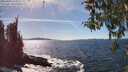 ./images/koeye/fitz-hugh/20260409/fitz-hugh20260409_153002M.jpg