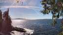 ./images/koeye/fitz-hugh/20260409/fitz-hugh20260409_154001M.jpg