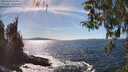 ./images/koeye/fitz-hugh/20260409/fitz-hugh20260409_154502M.jpg