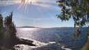 ./images/koeye/fitz-hugh/20260409/fitz-hugh20260409_155001M.jpg