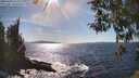 ./images/koeye/fitz-hugh/20260409/fitz-hugh20260409_161502M.jpg