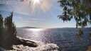 ./images/koeye/fitz-hugh/20260409/fitz-hugh20260409_162501M.jpg