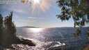 ./images/koeye/fitz-hugh/20260409/fitz-hugh20260409_163002M.jpg