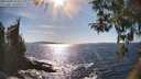 ./images/koeye/fitz-hugh/20260409/fitz-hugh20260409_163501M.jpg