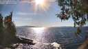./images/koeye/fitz-hugh/20260409/fitz-hugh20260409_164502M.jpg