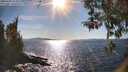 ./images/koeye/fitz-hugh/20260409/fitz-hugh20260409_165002M.jpg