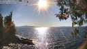 ./images/koeye/fitz-hugh/20260409/fitz-hugh20260409_170502M.jpg