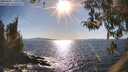 ./images/koeye/fitz-hugh/20260409/fitz-hugh20260409_171001M.jpg
