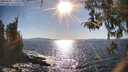 ./images/koeye/fitz-hugh/20260409/fitz-hugh20260409_171502M.jpg