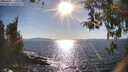 ./images/koeye/fitz-hugh/20260409/fitz-hugh20260409_172001M.jpg