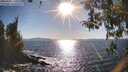./images/koeye/fitz-hugh/20260409/fitz-hugh20260409_172502M.jpg