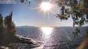./images/koeye/fitz-hugh/20260409/fitz-hugh20260409_173001M.jpg