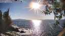 ./images/koeye/fitz-hugh/20260409/fitz-hugh20260409_174501M.jpg