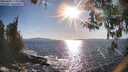 ./images/koeye/fitz-hugh/20260409/fitz-hugh20260409_175002M.jpg
