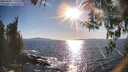 ./images/koeye/fitz-hugh/20260409/fitz-hugh20260409_175501M.jpg