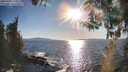 ./images/koeye/fitz-hugh/20260409/fitz-hugh20260409_180001M.jpg
