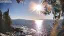 ./images/koeye/fitz-hugh/20260409/fitz-hugh20260409_180502M.jpg