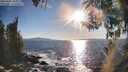 ./images/koeye/fitz-hugh/20260409/fitz-hugh20260409_181001M.jpg