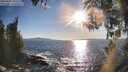 ./images/koeye/fitz-hugh/20260409/fitz-hugh20260409_181501M.jpg
