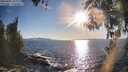 ./images/koeye/fitz-hugh/20260409/fitz-hugh20260409_182001M.jpg
