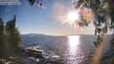 ./images/koeye/fitz-hugh/20260409/fitz-hugh20260409_182501M.jpg