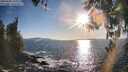 ./images/koeye/fitz-hugh/20260409/fitz-hugh20260409_183001M.jpg