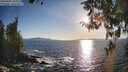 ./images/koeye/fitz-hugh/20260409/fitz-hugh20260409_184002M.jpg