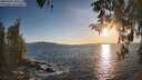 ./images/koeye/fitz-hugh/20260409/fitz-hugh20260409_191502M.jpg