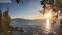./images/koeye/fitz-hugh/20260409/fitz-hugh20260409_193001M.jpg