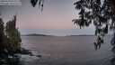 ./images/koeye/fitz-hugh/20260410/fitz-hugh20260410_063501M.jpg