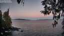 ./images/koeye/fitz-hugh/20260410/fitz-hugh20260410_064001M.jpg