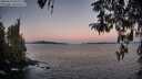 ./images/koeye/fitz-hugh/20260410/fitz-hugh20260410_064502M.jpg