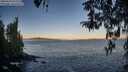 ./images/koeye/fitz-hugh/20260410/fitz-hugh20260410_072001M.jpg