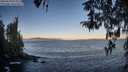 ./images/koeye/fitz-hugh/20260410/fitz-hugh20260410_073001M.jpg