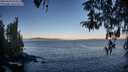 ./images/koeye/fitz-hugh/20260410/fitz-hugh20260410_073501M.jpg