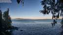 ./images/koeye/fitz-hugh/20260410/fitz-hugh20260410_074001M.jpg