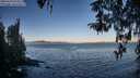 ./images/koeye/fitz-hugh/20260410/fitz-hugh20260410_074501M.jpg