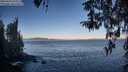 ./images/koeye/fitz-hugh/20260410/fitz-hugh20260410_075501M.jpg