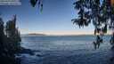 ./images/koeye/fitz-hugh/20260410/fitz-hugh20260410_080501M.jpg