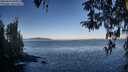 ./images/koeye/fitz-hugh/20260410/fitz-hugh20260410_081001M.jpg