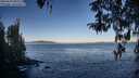 ./images/koeye/fitz-hugh/20260410/fitz-hugh20260410_081501M.jpg