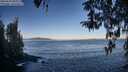 ./images/koeye/fitz-hugh/20260410/fitz-hugh20260410_082001M.jpg