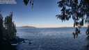 ./images/koeye/fitz-hugh/20260410/fitz-hugh20260410_082501M.jpg