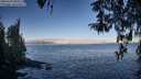 ./images/koeye/fitz-hugh/20260410/fitz-hugh20260410_083502M.jpg