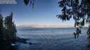 ./images/koeye/fitz-hugh/20260410/fitz-hugh20260410_084002M.jpg