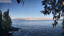./images/koeye/fitz-hugh/20260410/fitz-hugh20260410_085001M.jpg