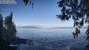 ./images/koeye/fitz-hugh/20260410/fitz-hugh20260410_091001M.jpg