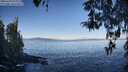 ./images/koeye/fitz-hugh/20260410/fitz-hugh20260410_093001M.jpg