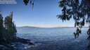 ./images/koeye/fitz-hugh/20260410/fitz-hugh20260410_093501M.jpg